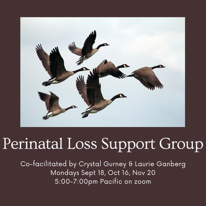 Square graphic with brown background showing group of six geese flying in cloudy sky. Text reads Perinatal Loss Support Group. Co-facilitated by Crystal Gurney and Laurie Ganberg. Mondays Sept 18, Oct 16, Nov 20, 5:00-7:00pm Pacific on zoom.